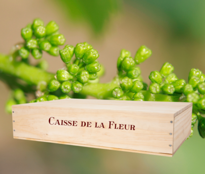 CAISSE DE LA FLEUR
